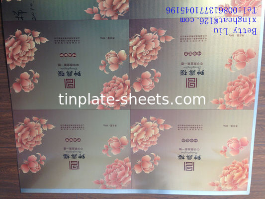 T2.5 T3 T4 T5 DR7 DR8 DR9 Plaque d'étain imprimée EN10202 Norme 2.0/2.0