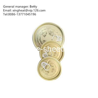 Plaques d'étain pour les boîtes de conserve de produits chimiques et alimentaires 0,15-0,49 mm Épaisseur Électrolytique Étain MR SPCC Matériau 600-986 mm Largeur